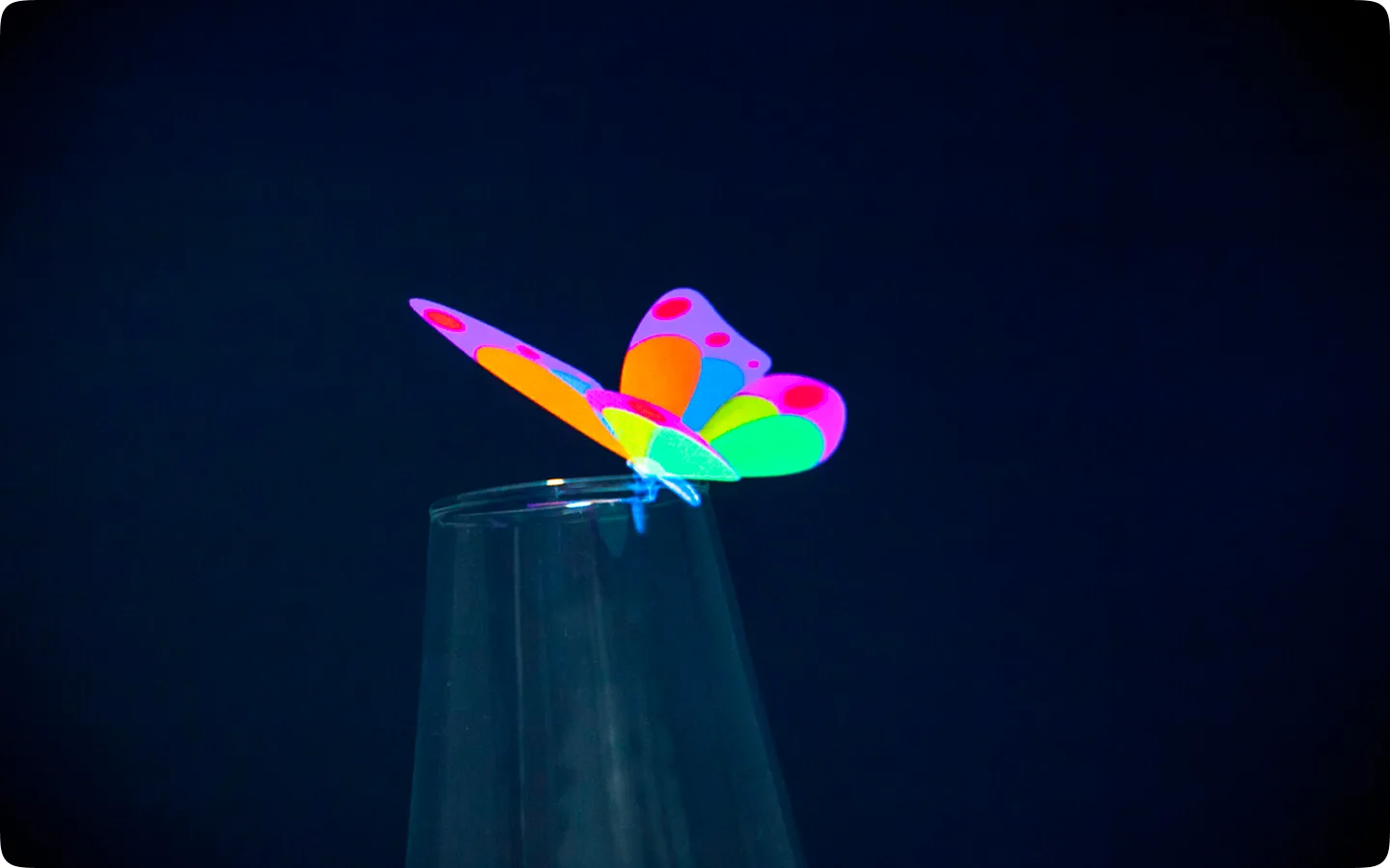 Colored light projection on a butterfly-shaped object.